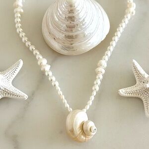 Seashell Necklace